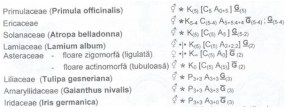 Fără titlu