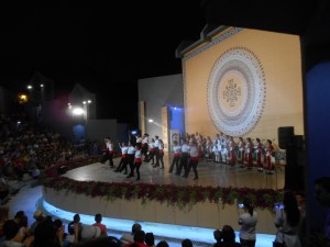 DSCN4085