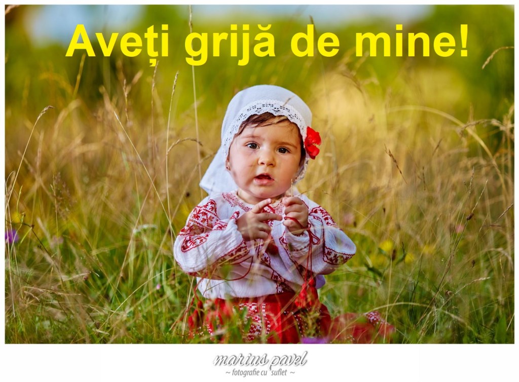 Nevoia de rost